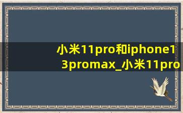小米11pro和iphone13promax_小米11pro和iPhone12安兔兔